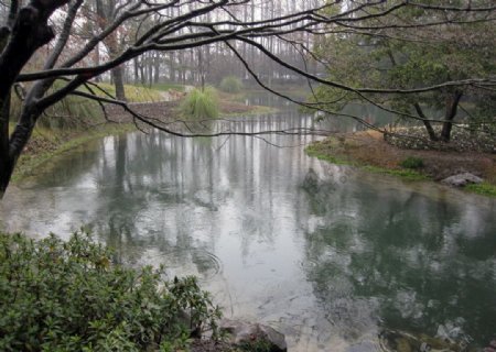 湖泊雨林图片