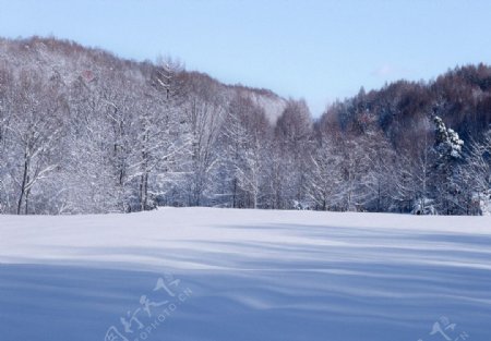 自然雪景摄影照片图片