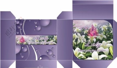 紫色百合礼盒图片