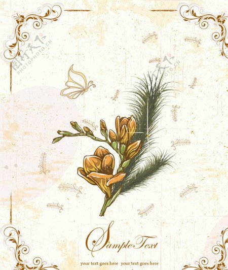 古典花卉花纹图片