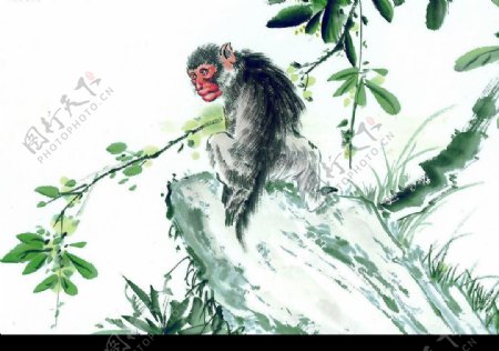 十二生肖猴水墨画图片