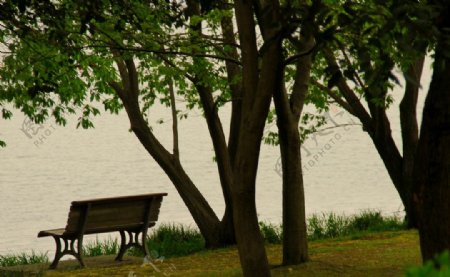 湖边长椅图片