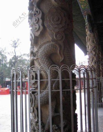 山东曲阜孔庙大成殿的龙柱图片