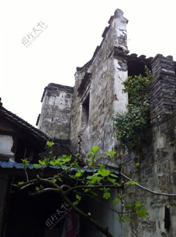 西塘老建筑图片