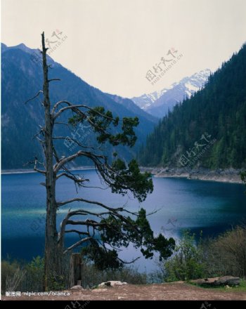 山中湖水图片