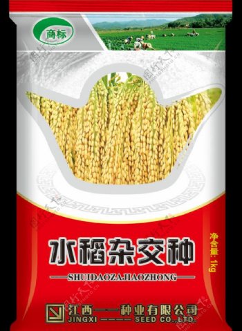 水稻种子袋图片