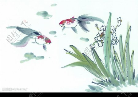 中国画鱼19图片