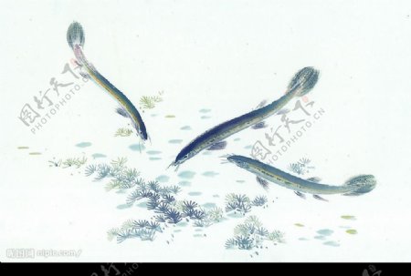 中国画鱼9图片