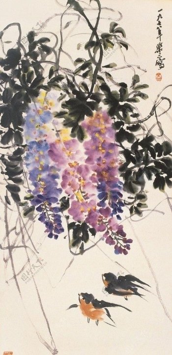 紫藤家燕图片