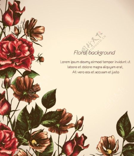 手绘花纹花朵背景图片