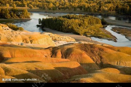 黄色土地原始森林河流黄调图片