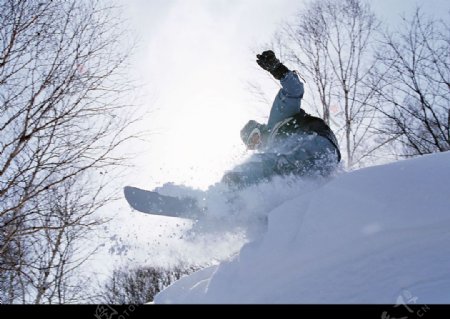 雪林滑雪跳跃图片