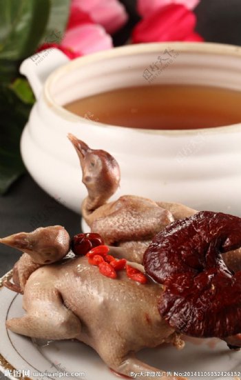 长白山灵芝红枣炖乳鸽图片