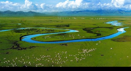 黃河首曲最大生態濕地瑪曲大草原图片