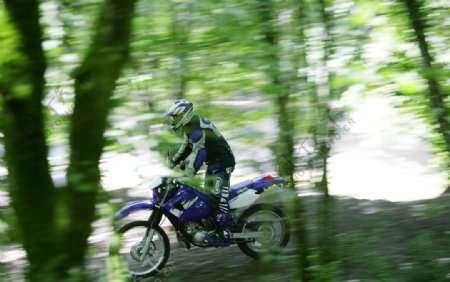 丛林飞奔的摩托车图片