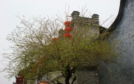 新春古建筑图片