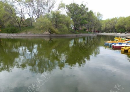 石河子西公园的湖水图片