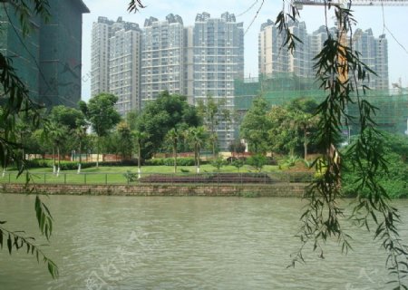 温江河图片