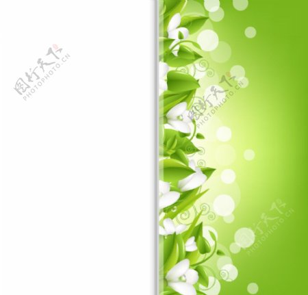 绿叶鲜花环保背景图片
