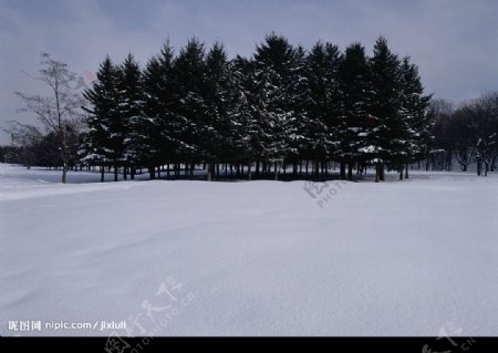 冰雪世界图片