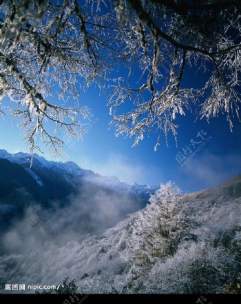 高山雪景图图片