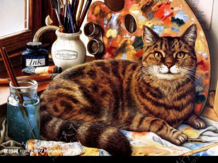 高清油画型猫图2图片
