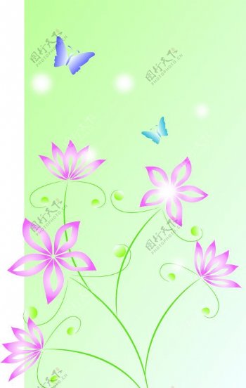 花与蝶图片