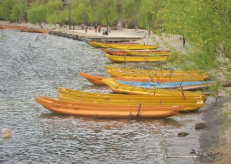 泸沽湖岸图片