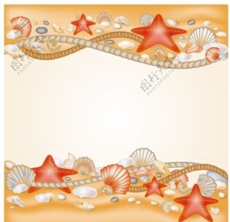 夏日沙滩贝壳图片