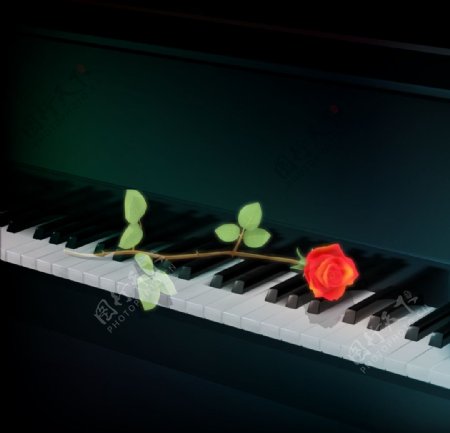 钢琴乐图片
