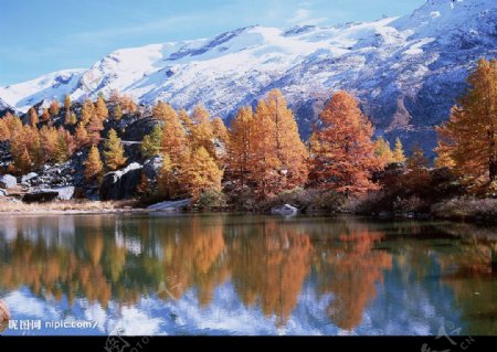 雪山湖泊图片