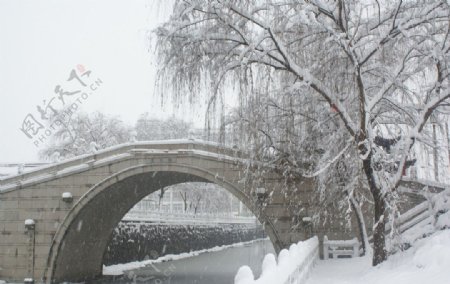 黄桥文明桥雪景图片