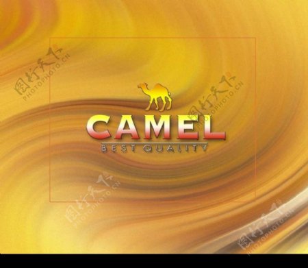 Camel包裝設計图片