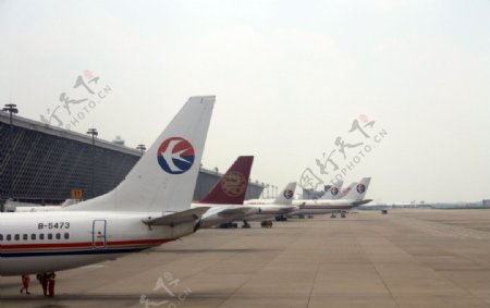 上海浦东机场图片