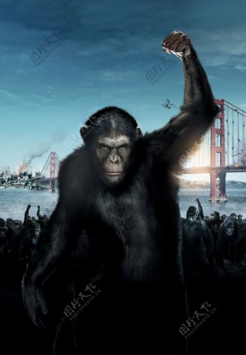 3D人猿星球之猿族崛起高清无字海报图片