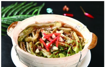 砂锅唐生菜图片