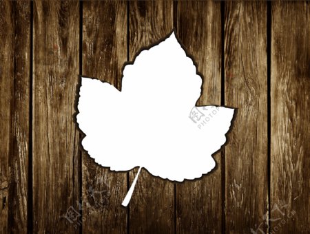 枫叶缕空状的木板图片