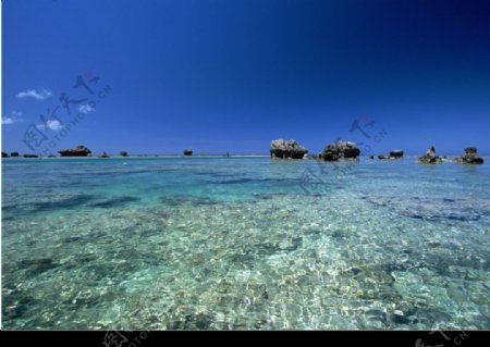 大海礁石图片
