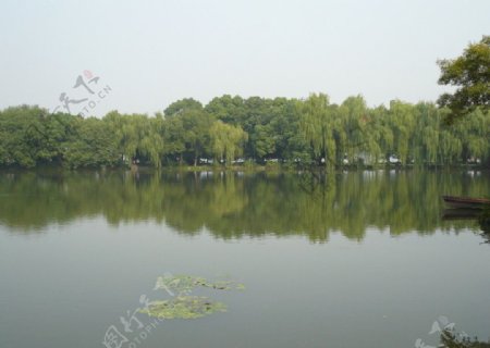 西湖一景图片