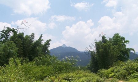绿山风景图片