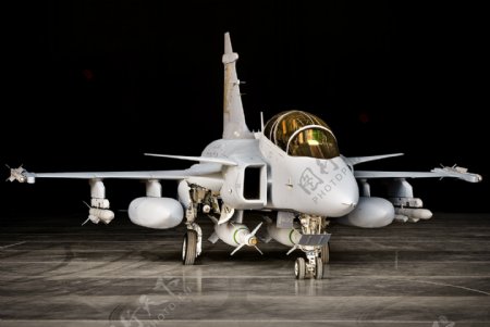 瑞典皇家空军鹰师战斗机图片