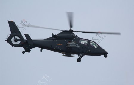 直19武装直升机图片