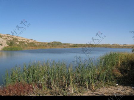 内蒙沙漠湖泊图片