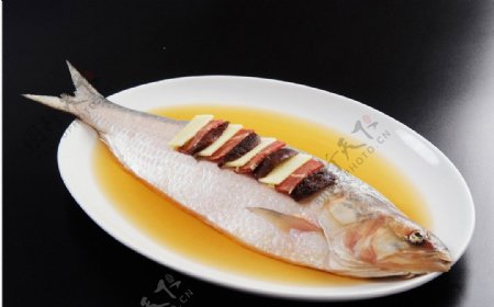 长江鲥鱼图片