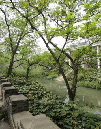 扬州古典园林个园街边风景图片