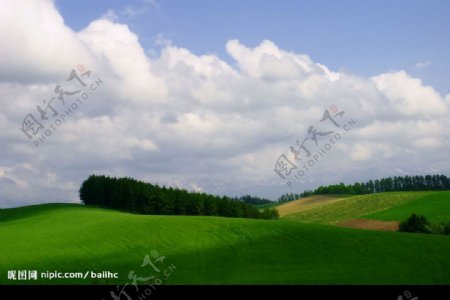 高清天空草园图片