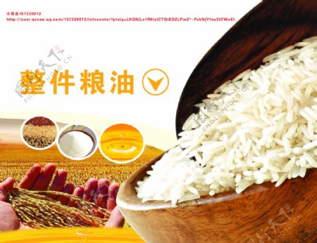 麦子大米粮油面稻图片