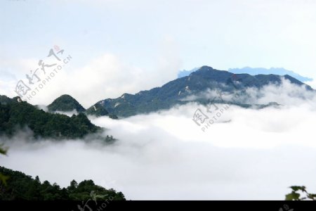木札岭原始森林云海图片