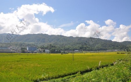 田园风光图片