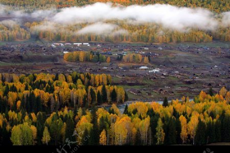 新疆的秋天3图片